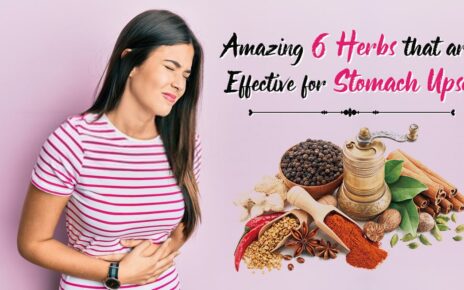 Amazing 6 Herbs that are Effective for Stomach Upset