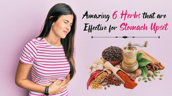 Amazing 6 Herbs that are Effective for Stomach Upset