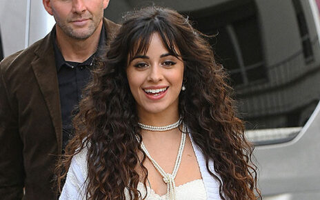 Camila Cabello Might Be Dating Austin Kevitch, The CEO Of LOX Club!