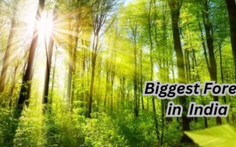 Largest Forests In India